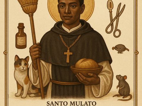 Oración Poderosa a San Martín de Porres